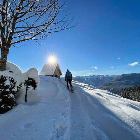 Chalet Hike&Bike Above Bohinj Valley Экстерьер фото