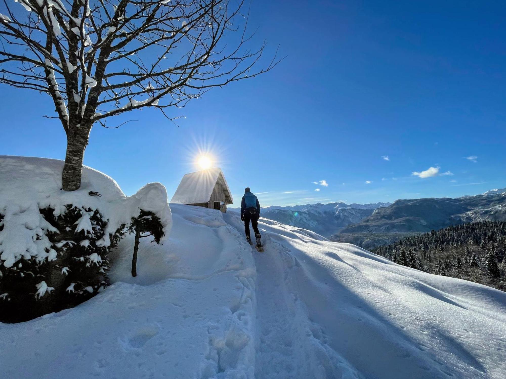 Chalet Hike&Bike Above Bohinj Valley Экстерьер фото